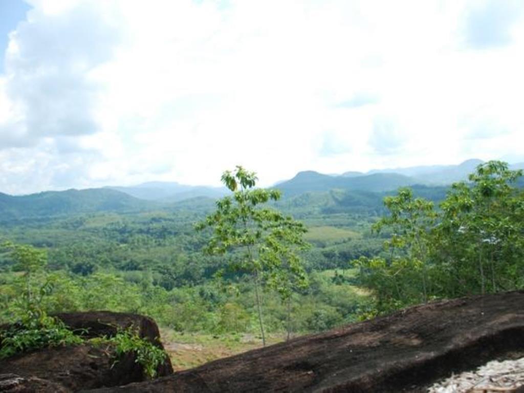 Nature Lovers Resort Ingiriya Extérieur photo