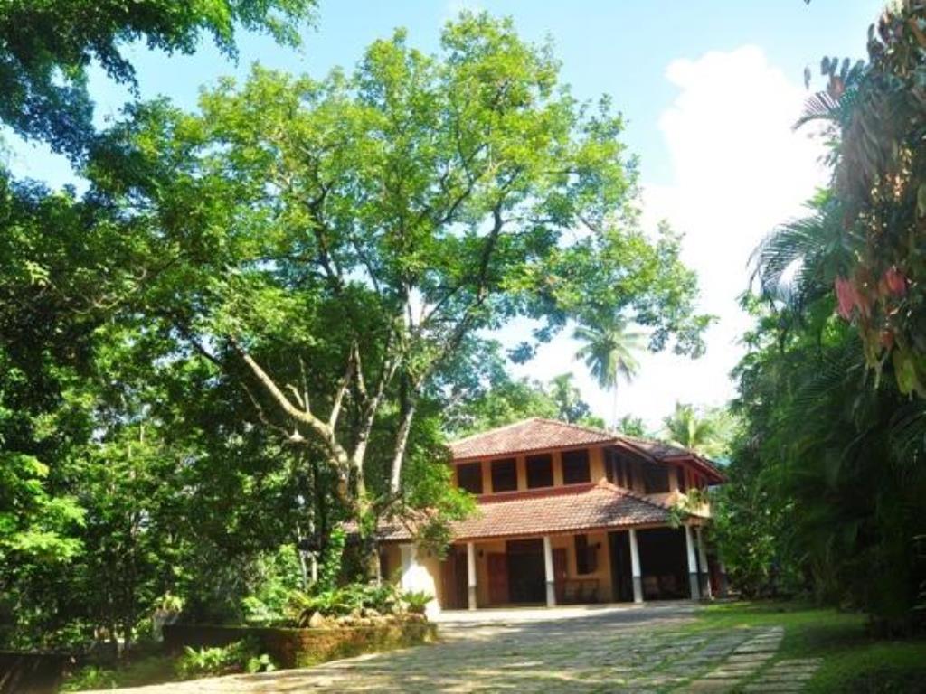 Nature Lovers Resort Ingiriya Extérieur photo